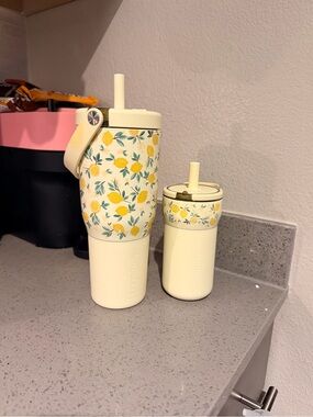 Lemoncello Pattern Insulated Tumbler Set